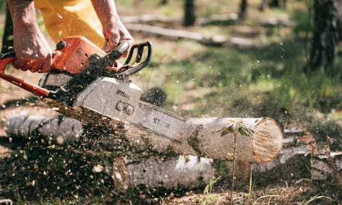 Chainsaw being used