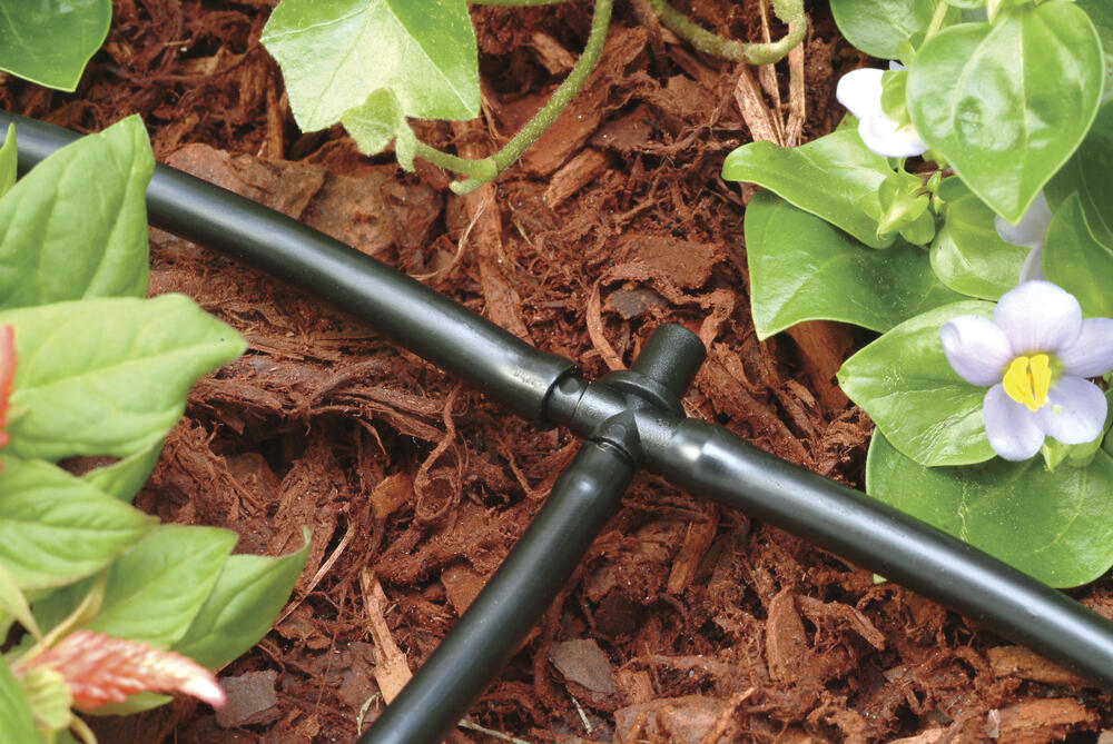Menards Rain Bird® 1/4" Barbed Drip Irrigation Tee Round Top, TX La