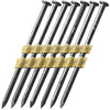 Grip-Rite 21 Degree Plastic Strip Bright Full Round Head Framing Stick Nail, 3 In. x .131 In. (2000 Ct.)