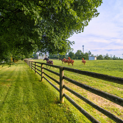 Farm & Ranch SuppliesFarm fence