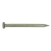 Monster Fastener Steel Wire Flat Head Nails
