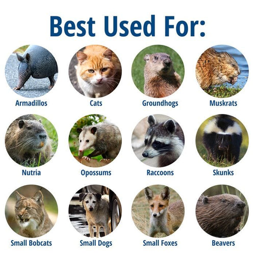 Havahart Large 1-Door Animal Trap