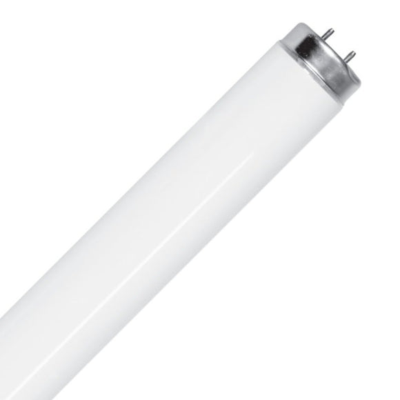 Feit Electric F32T8-950-2 32W 4 ft T8 G13 5000K Linear Fluorescent Lamp
