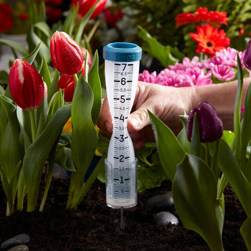 Taylor 7 Silicone Rain Gauge