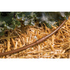 Rain Bird ET25-50S2 - 1/4 in. Emitter Tubing, 0.8 GPH with 12 Spacing, 50 ft.