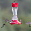 Perky-Pet® Pinch Waist Glass Hummingbird Feeder