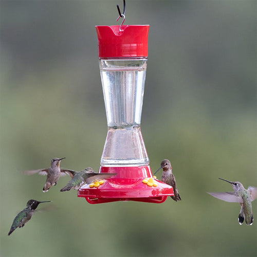 Perky-Pet® Pinch Waist Glass Hummingbird Feeder