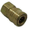 1/4 F x 1/4 FPT Pressure Washer Socket