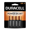 Duracell Coppertop AA Alkaline Batteries