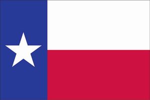 Valley Forge Perma-Nyl 12' x 18' Nylon Texas Flag (12' x 18')